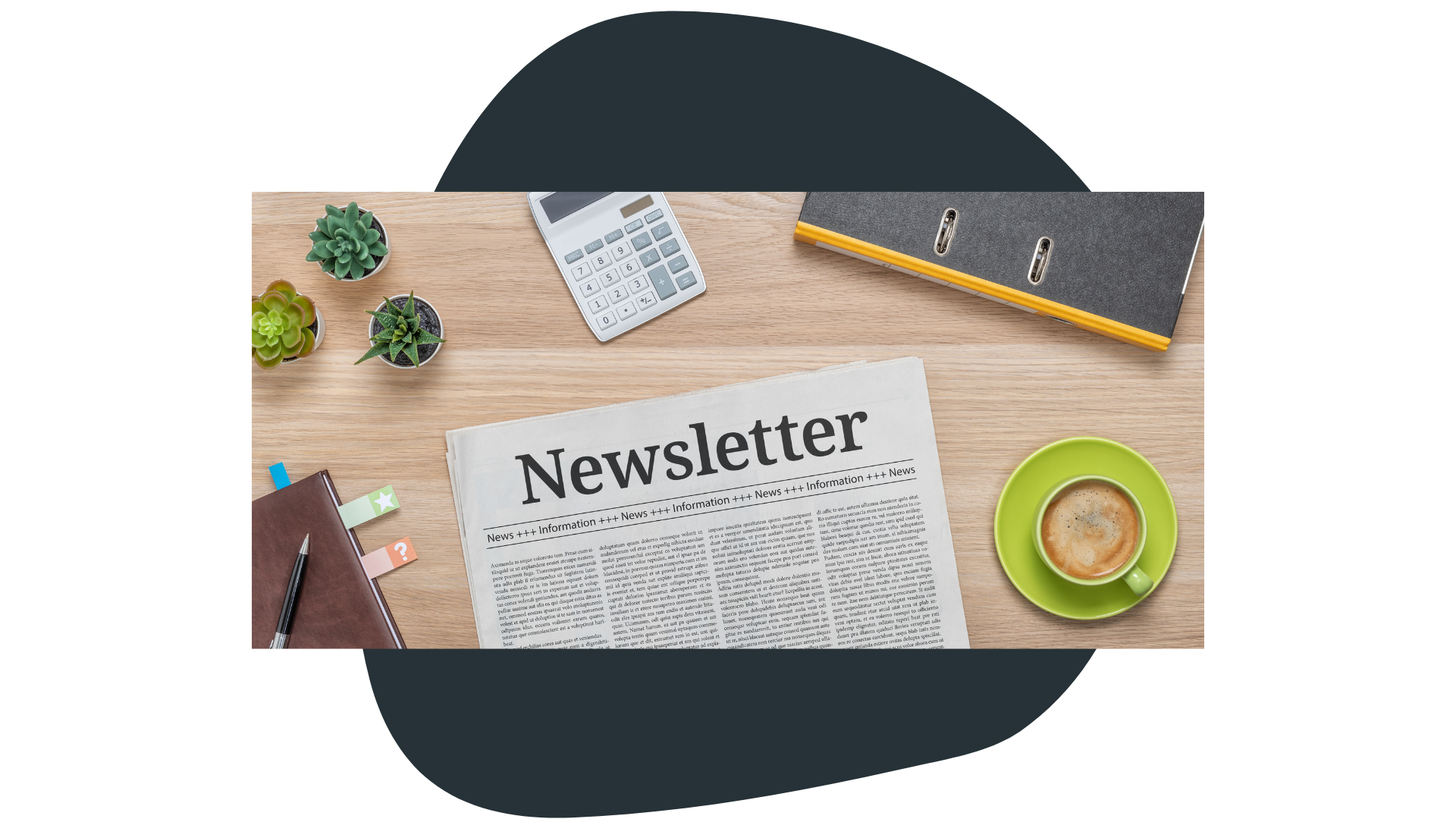 newsletter newsletter